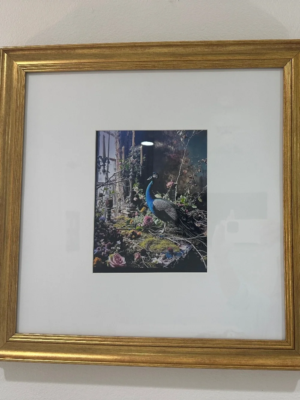 GOLD FRAMED & MATTED PICTURES